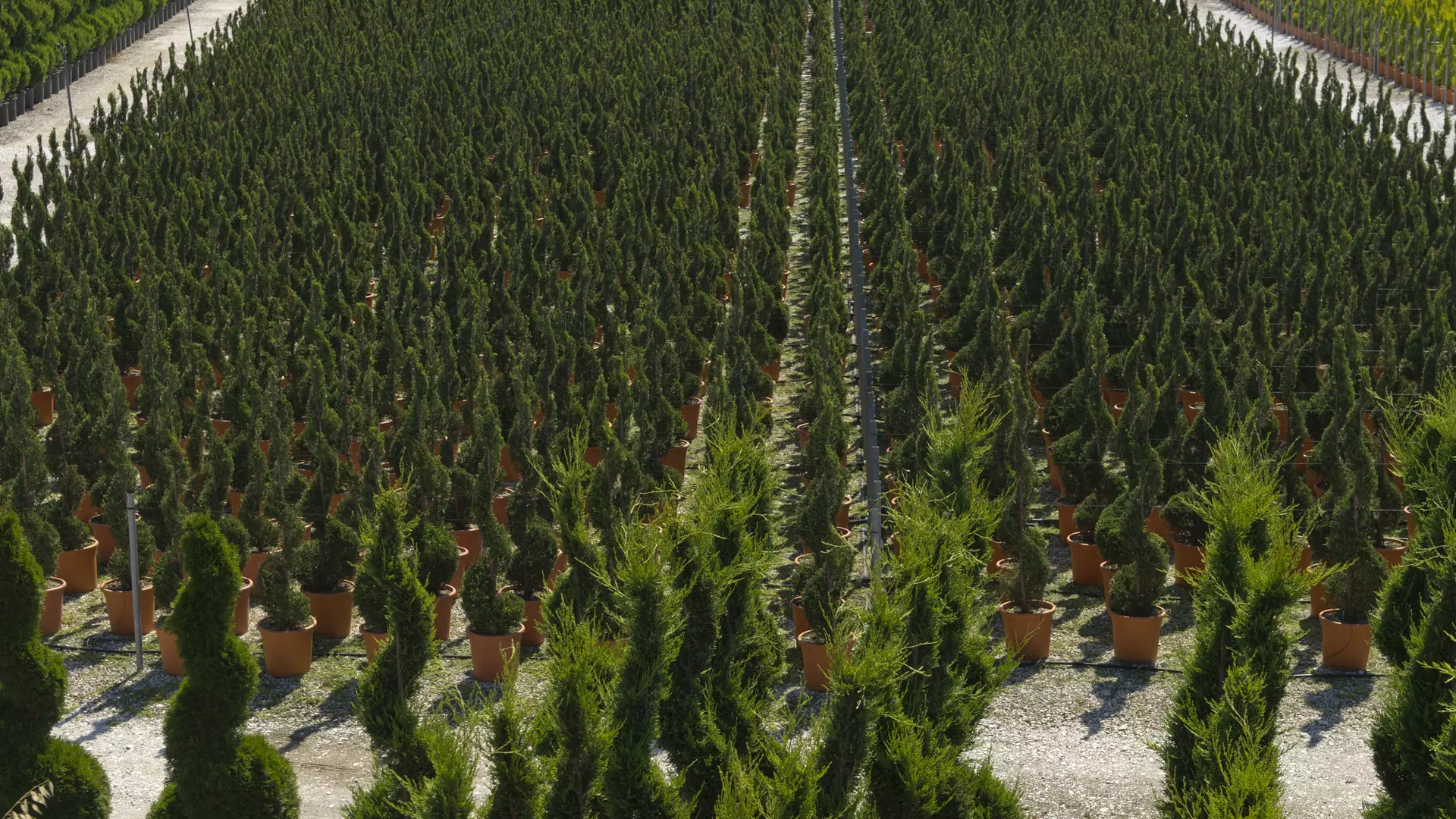 Offering High Frequency and Low Quantity Deliveries