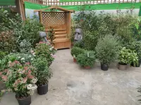 Jenny product pics