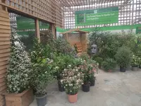 Jenny product pics