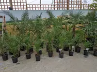 Jenny product pics