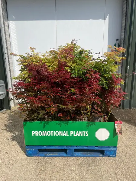 Acer Mix Pallet Deal 32x1 - image 2